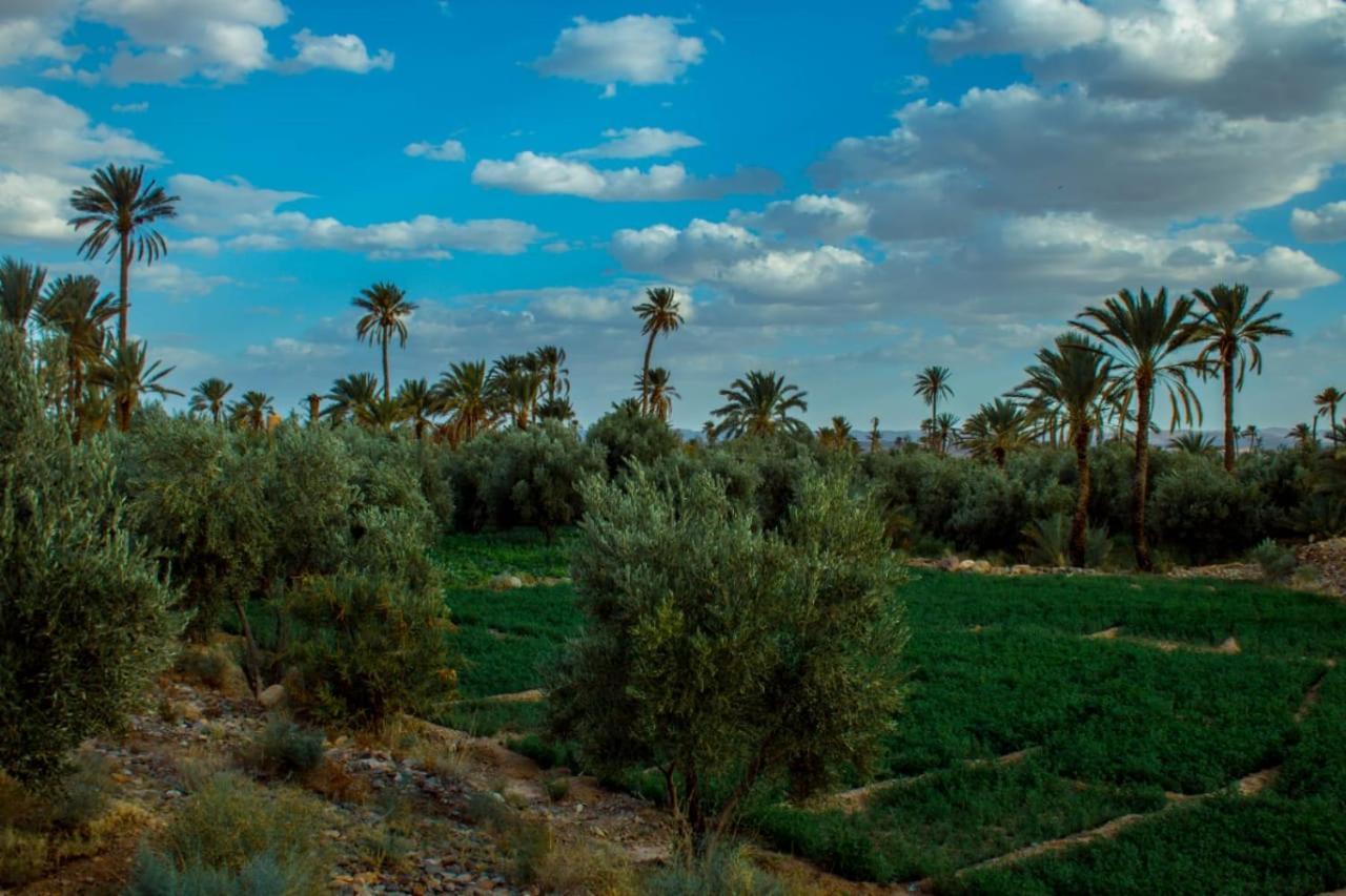 Kasbah Les Nomades Hotel Skoura Exterior foto